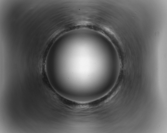 X0000088861313200706081145
