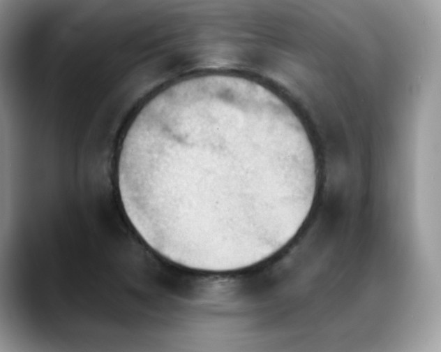 X0000088861314200706081145