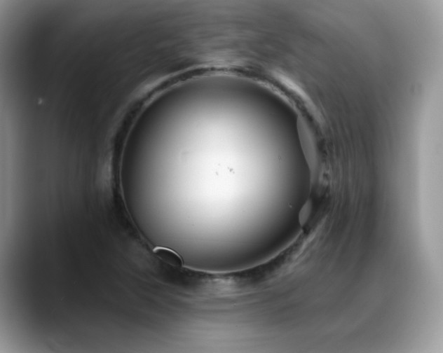 X0000088861315200706081145