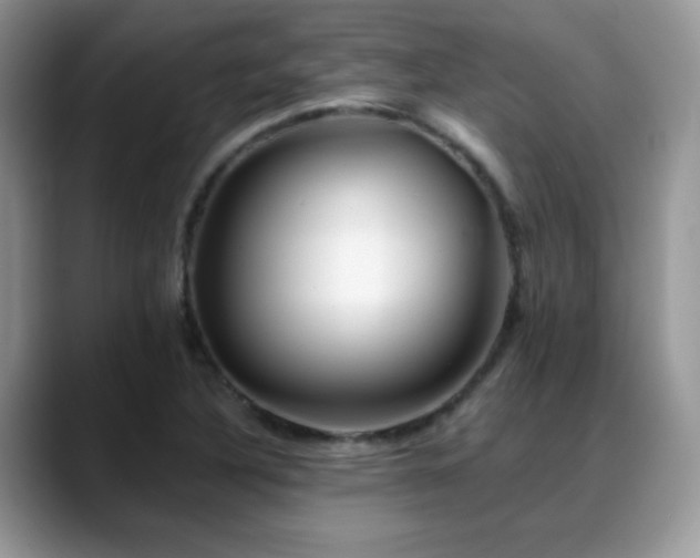 X0000088861316200706081145