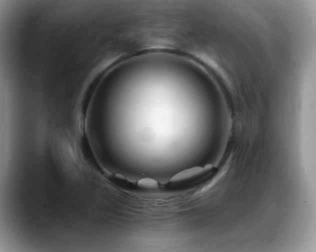X0000088861317200706081145