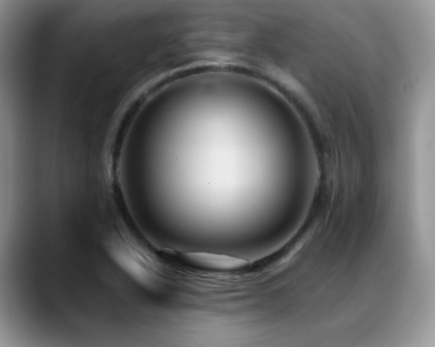 X0000088861318200706081145