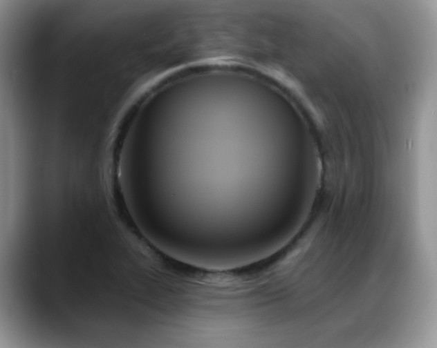 X0000088861319200706081145