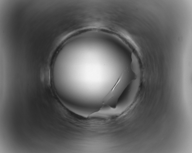 X0000088861320200706081145