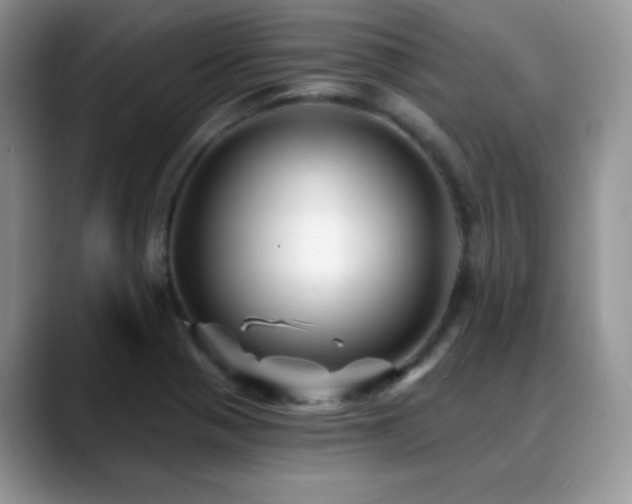 X0000088861321200706081145