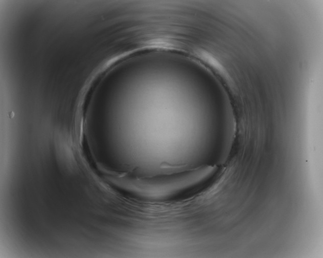 X0000088861323200706081145
