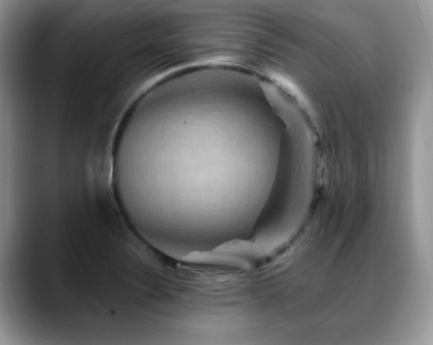 X0000088861324200706081146