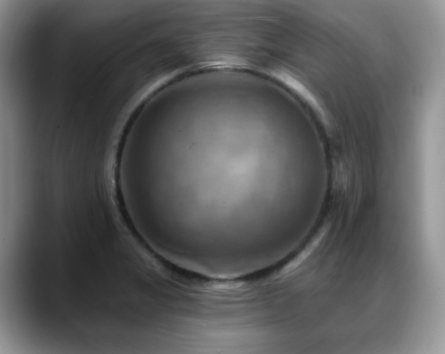 X0000088861325200706081146