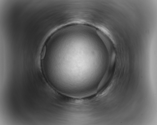 X0000088861326200706081146