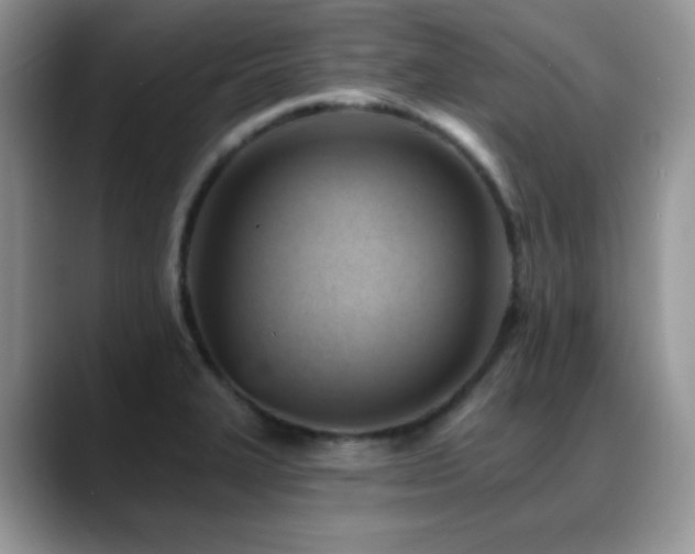 X0000088861327200706081146