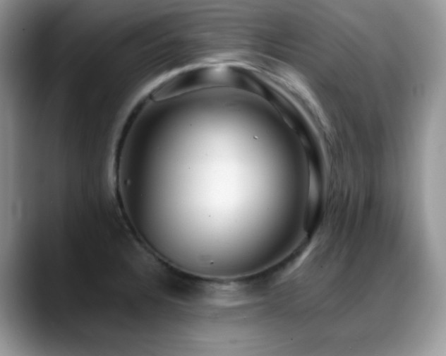 X0000088861328200706081146
