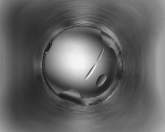 X0000088861330200706081146