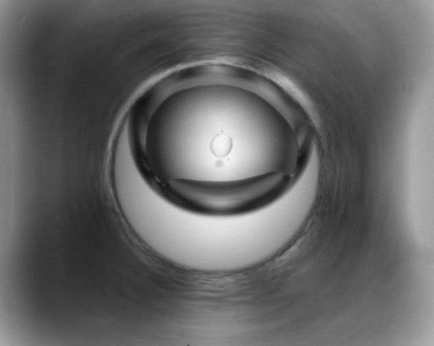 X0000088861332200706081146
