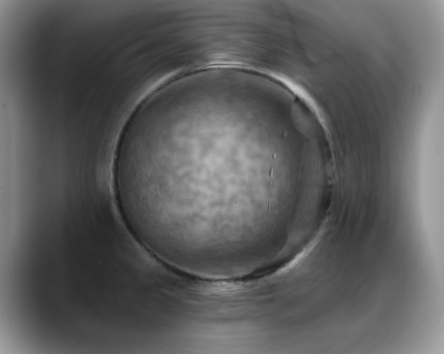 X0000088861333200706081146