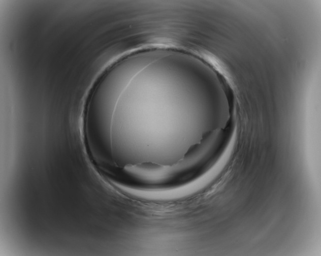 X0000088861334200706081146