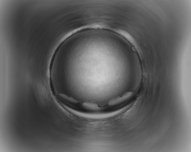X0000088861335200706081146