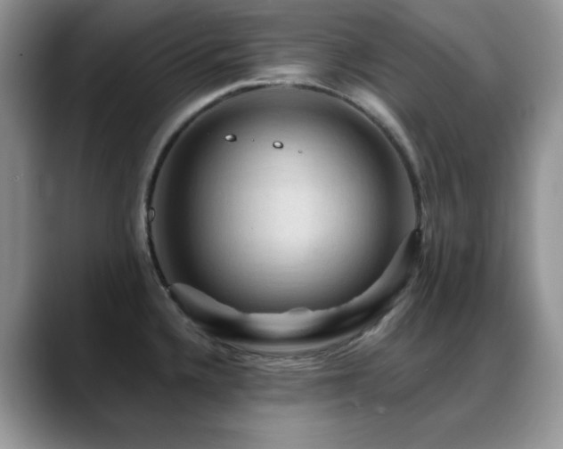 X0000088861336200706081146