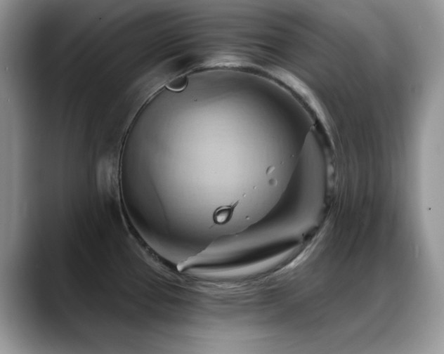 X0000088861337200706081146
