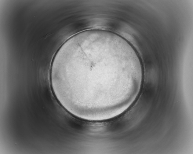 X0000088861338200706081146