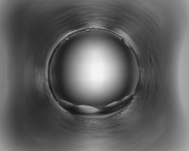 X0000088861339200706081146