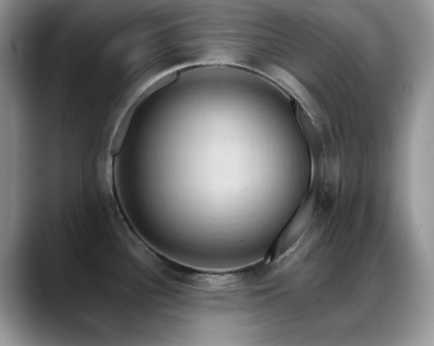 X0000088861340200706081146