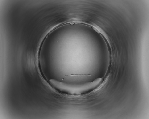 X0000088861341200706081146