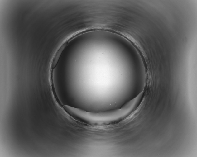 X0000088861342200706081146