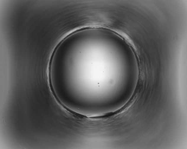 X0000088861343200706081146