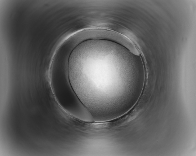 X0000088861344200706081146