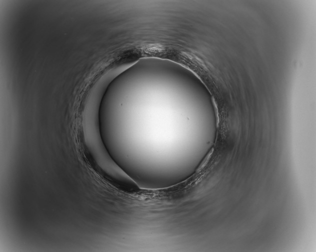 X0000088861345200706081145