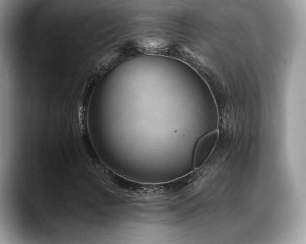 X0000088861346200706081145