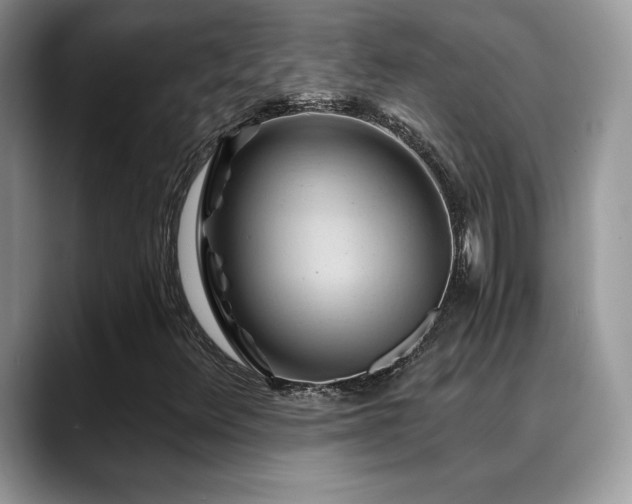 X0000088861348200706081145