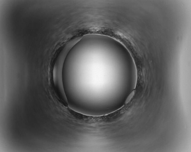 X0000088861349200706081145