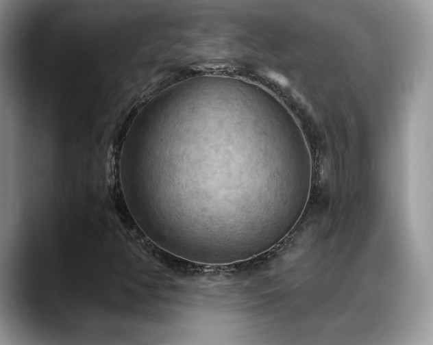 X0000088861350200706081145
