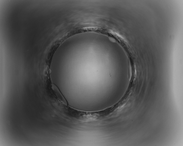 X0000088861351200706081145