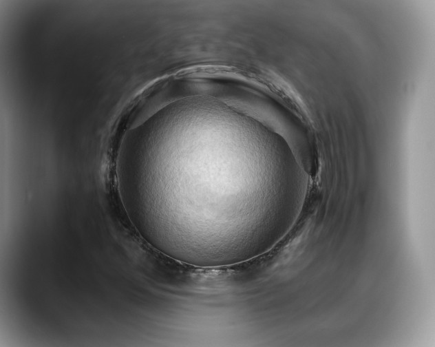 X0000088861352200706081145
