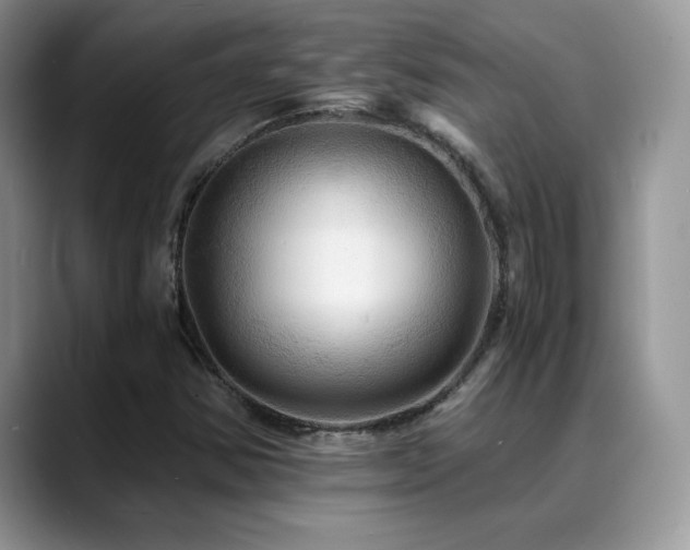 X0000088861354200706081145