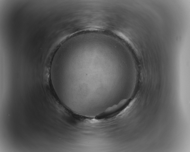 X0000088861355200706081145
