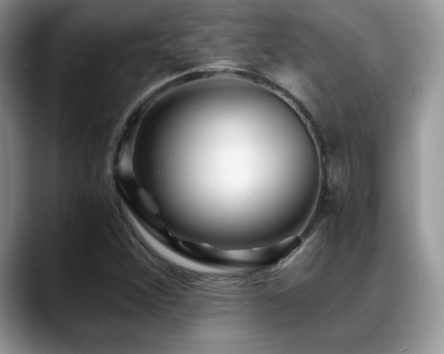 X0000088861356200706081145