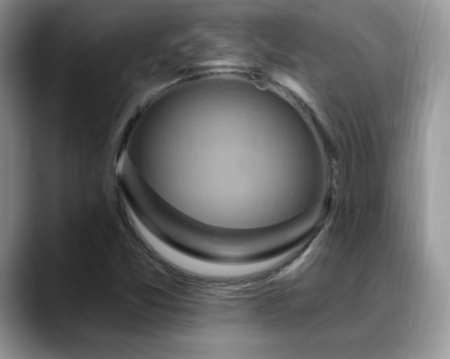 X0000088861357200706081145