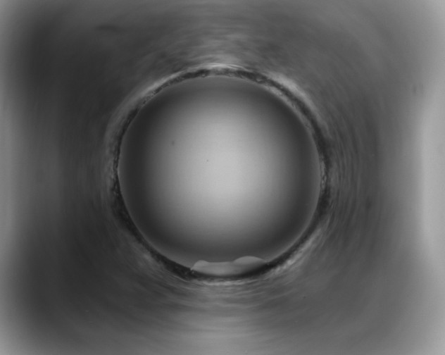X0000088861359200706081145