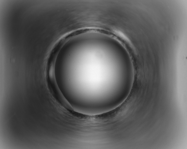 X0000088861360200706081145