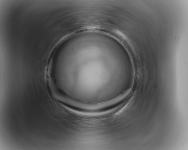 X0000088861361200706081145