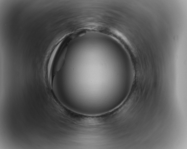 X0000088861362200706081145