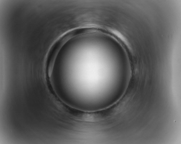 X0000088861364200706081145