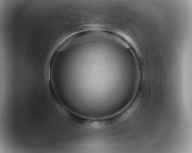 X0000088861365200706081145