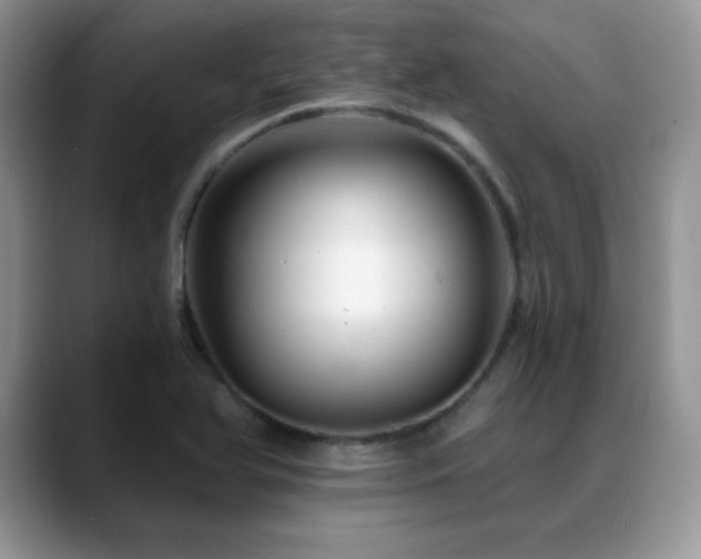 X0000088861366200706081145