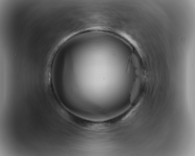 X0000088861367200706081145