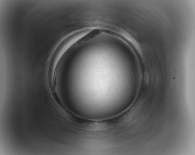 X0000088861368200706081145