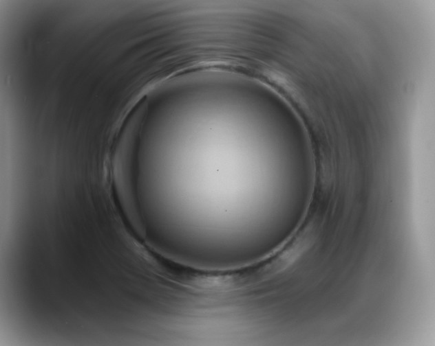 X0000088861369200706081145